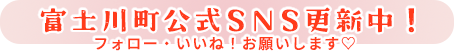 SNSで発信中