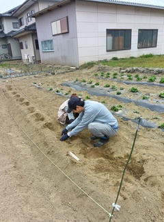 畑作業