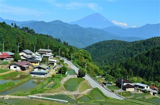 平林の棚田と富士山（初夏）
