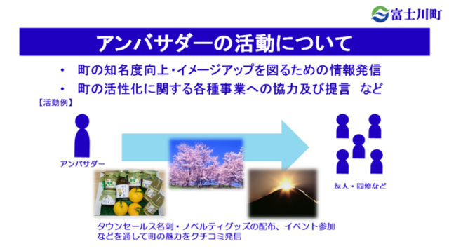 活動について