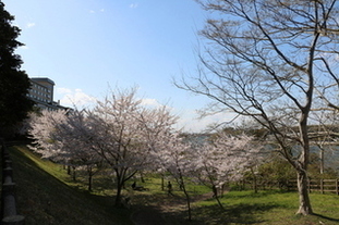 大洗町の春