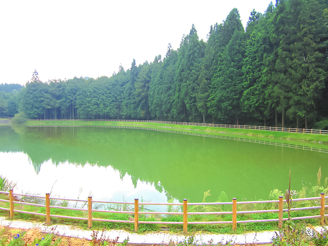 八雲池公園