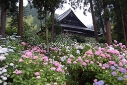 徳栄山 妙法寺