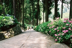 徳栄山 妙法寺2