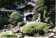 虫切加持2