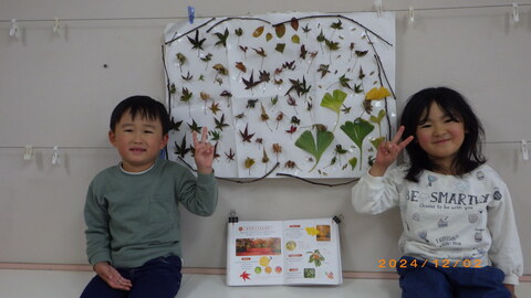 日常のひとコマ１
