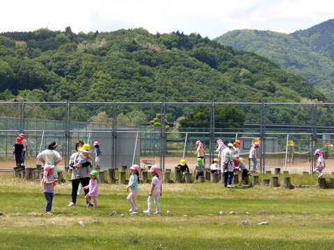 R7散歩