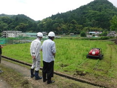 無人草刈機
