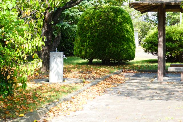 利根川公園