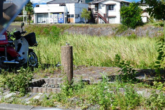 戸川公園