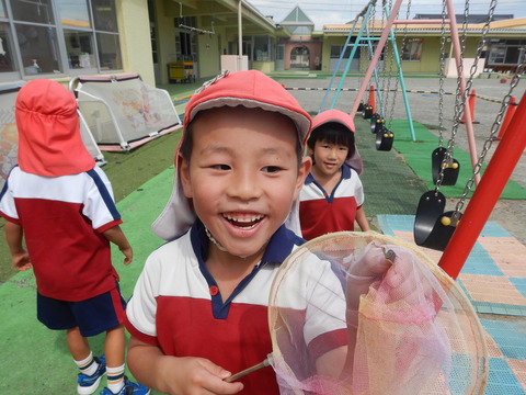 戸外遊びとんぼ 戸外遊びとんぼ