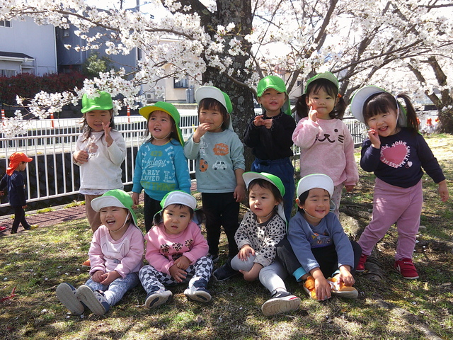 4月生活散歩で桜を見に行ったよ