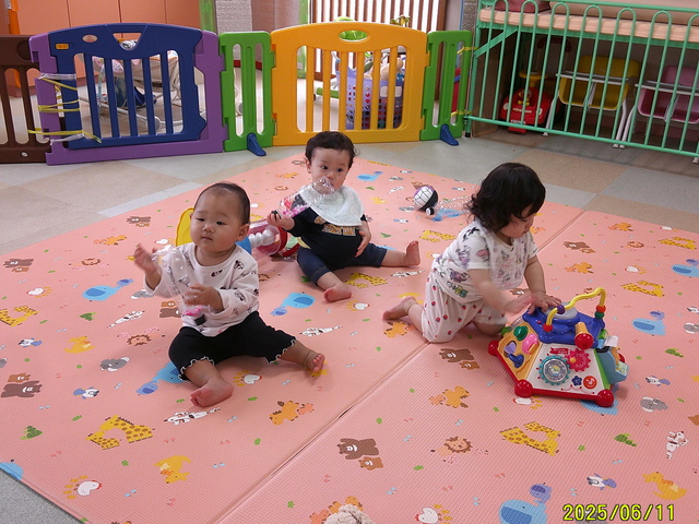 6月生活ひよこ組さんの遊んでいる様子