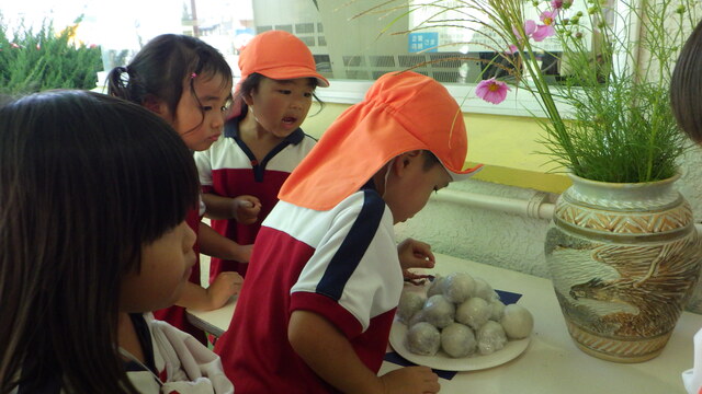 １０月うさぎ組　十五夜の飾りを見ているところ