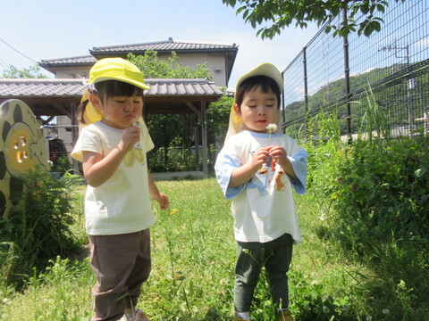 お楽しみ散歩