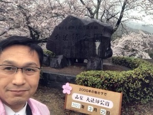 大法師さくら祭り
