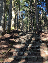1.3氷室神社2 1.3氷室神社2