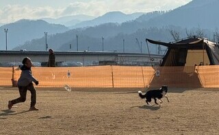 R7.3.9ディスクドッグ2