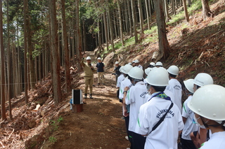 6.21町有林伐採2
