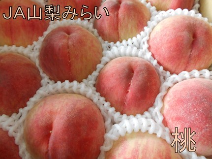 JAもも