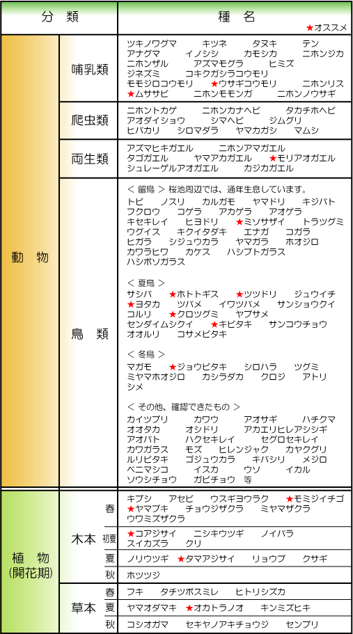 鳥の種類