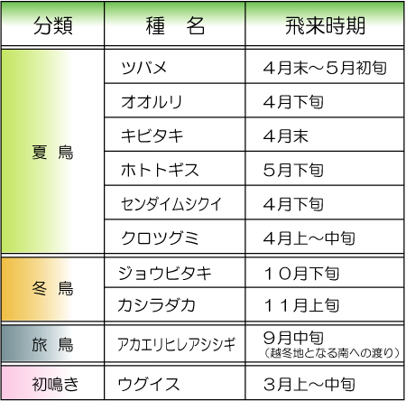 鳥の種類
