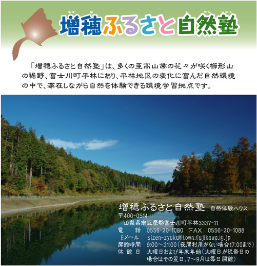 タイトル