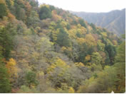 人気散策スポット