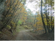 人気散策スポット