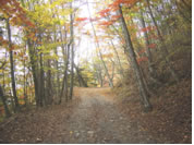 人気散策スポット