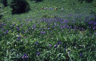 登山会(過去)