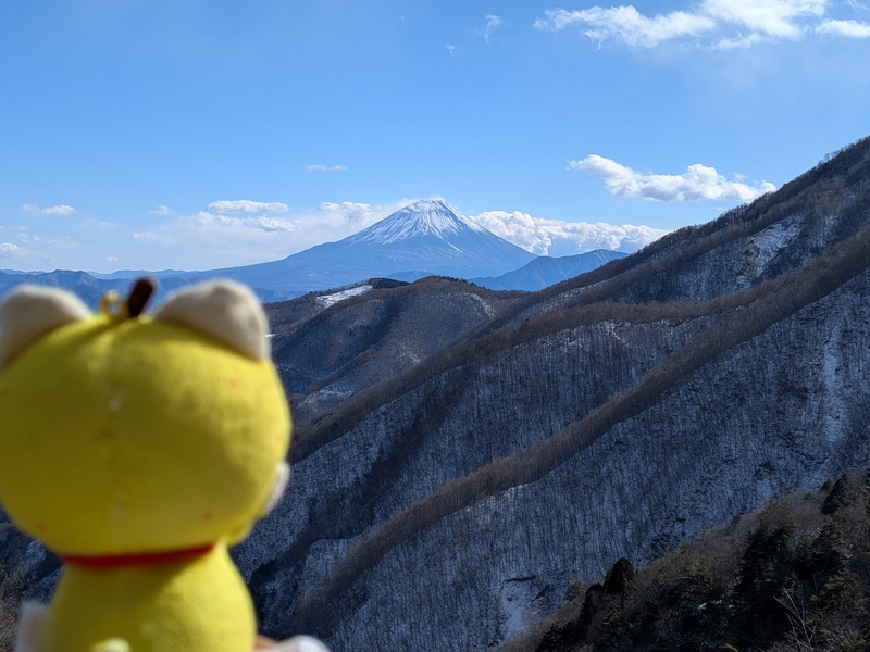 丸山林道からの富士山