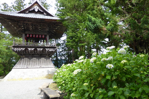 小室山妙法寺のあじさい開花状況について | 山梨県 富士川町