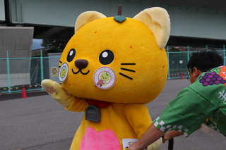 ゆずにゃんが台車に乗っている写真1
