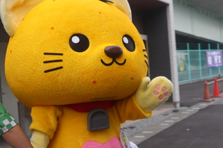 ゆずにゃんがバイバイしている写真4