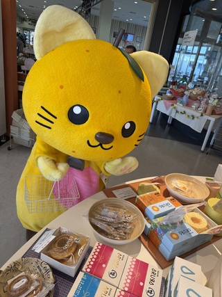 ARURAの商品を見て何にしようか悩んでいるゆずにゃん