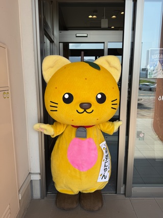 入口の自動扉の幅がギリギリで通れるか心配のゆずにゃん