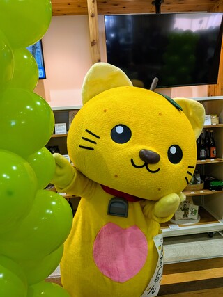 ひょっこりゆずにゃん