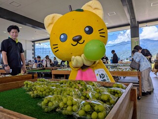マスカットとゆずにゃん