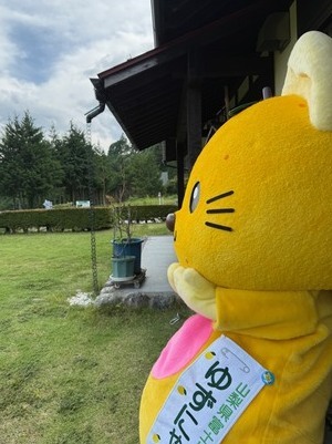 縁で座っているゆずにゃん