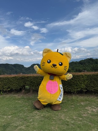 みさき耕舎でポーズを決めているゆずにゃん