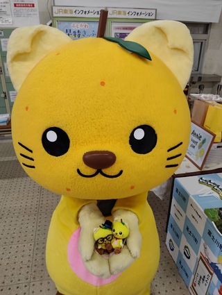 小さいゆずにゃんを持っているゆずにゃん 小さいゆずにゃんを持っているゆずにゃん