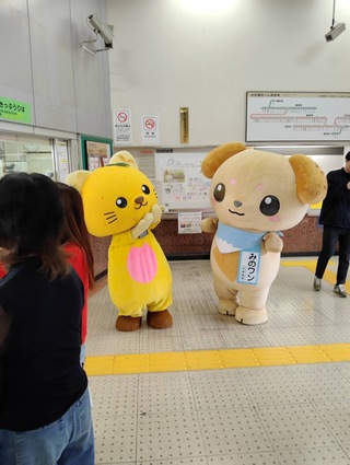 ゆずにゃんとみのワン ゆずにゃんとみのワン