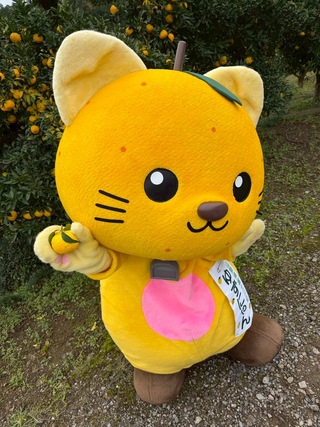 ゆずにゃんが柚子を掲げている様子