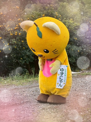 ゆずにゃんの『柚子もぎ』お手伝い編🐱 | 山梨県 富士川町