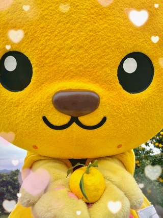 ゆずを持って近づいてくるゆずにゃん