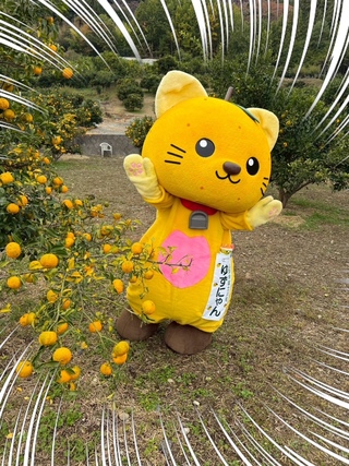 ゆずの葉っぱがトゲトゲしていてびっくりしているゆずにゃん