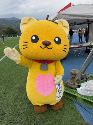 はい！と手をあげるゆずにゃん