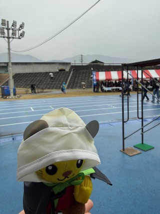 カッパを着て雨対策をするゆずにゃん