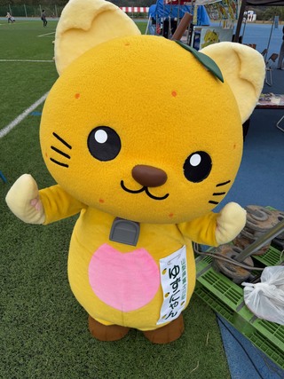 ムキムキポーズをするゆずにゃん2